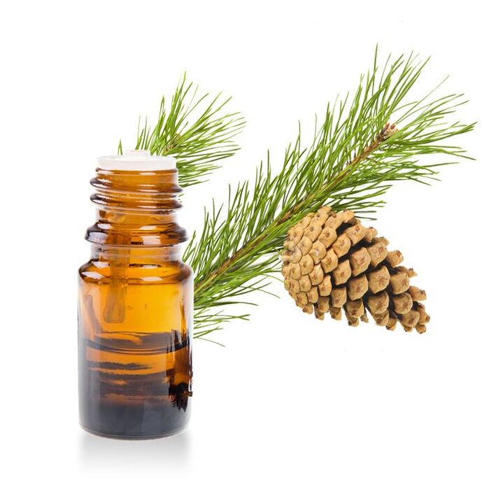 Extrait de sapin dans le cadre du gel hondroine